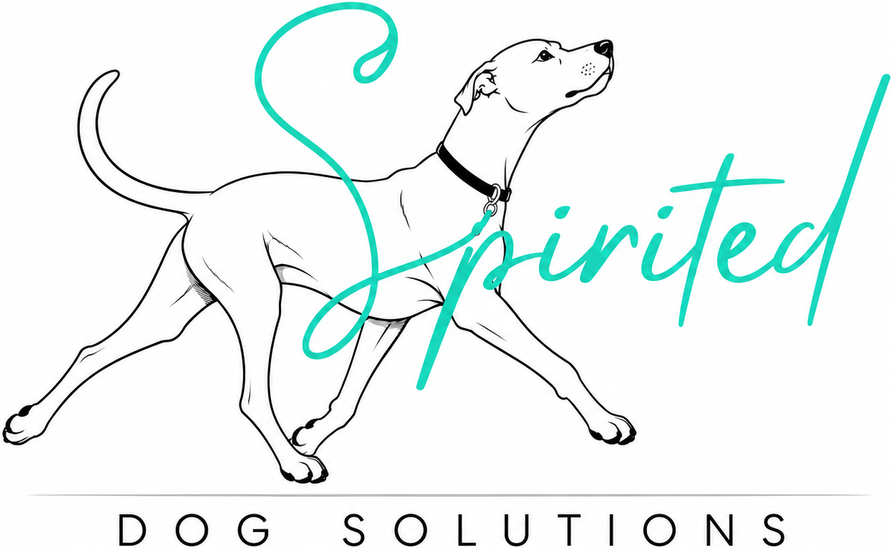 Spirited Dog Solutions